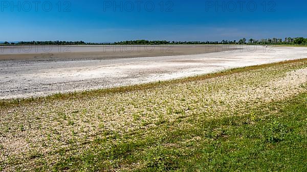 Heavily dried-up Zicksee