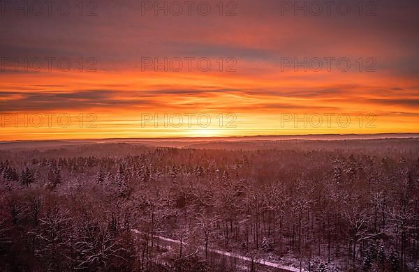 Iced winter landscape at sunrise