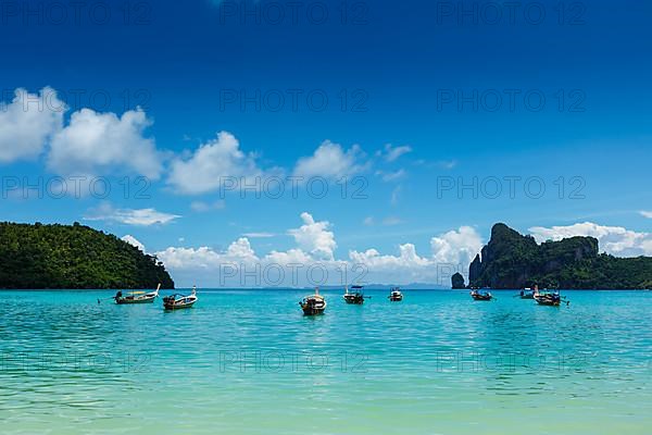 Long tail boats in bay. Phi Phi Island