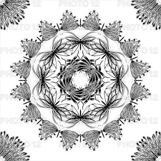 Madala design in black and white with stylized butterflies