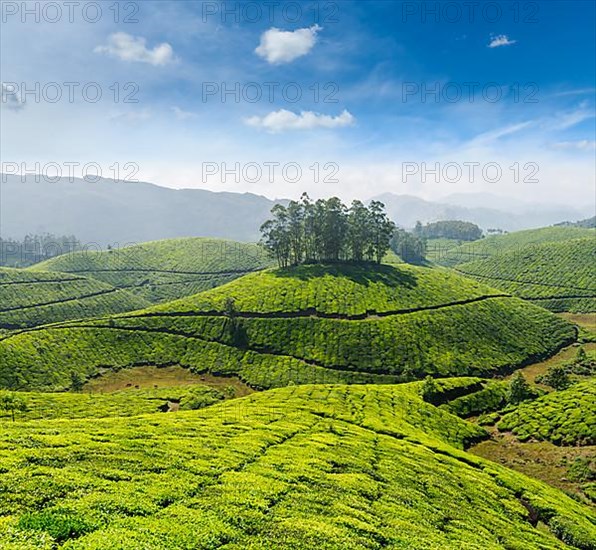 Indian tea concept background