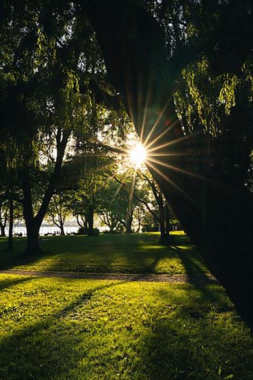 Light atmosphere in Mettnaupark