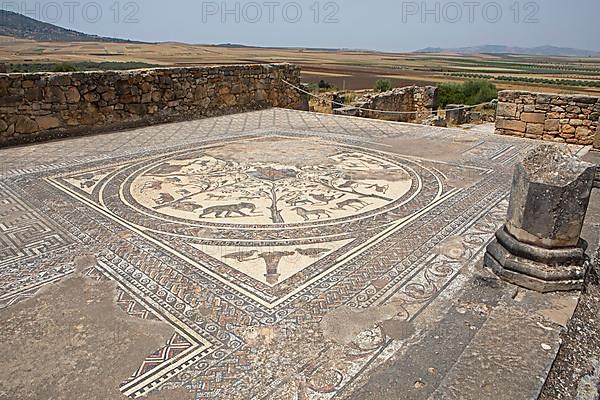 Roman mosaic