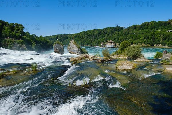 Viewing rock and Schloessli Woerth am Rheinfall