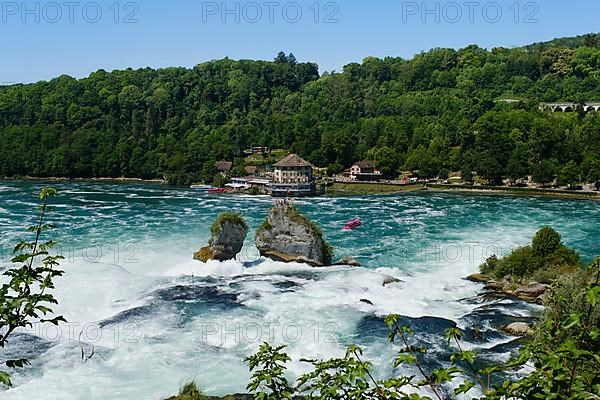 Woerth am Rheinfall viewing rock and castle