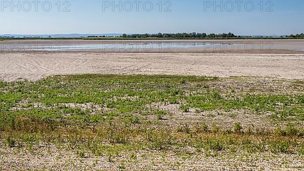 Heavily dried-up Zicksee