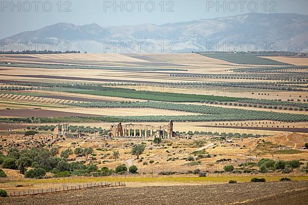 Archaeological site