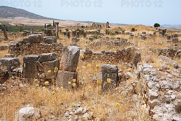 Archaeological site