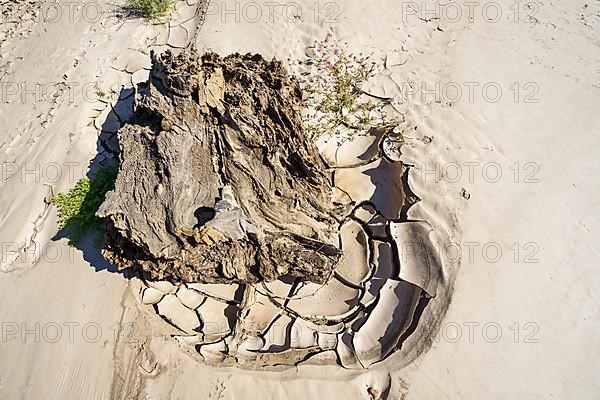 Cracked clay mud patterns and a big piece of wood in a dry river bed