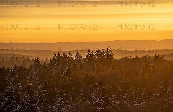 Iced winter landscape at sunrise