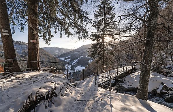 Winter landscape in the forest with bridge