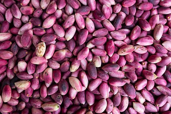 Raw pistachios as background in Sanliurfa