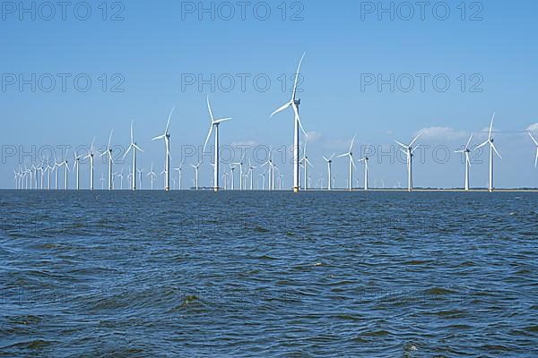 Wind farm on the water