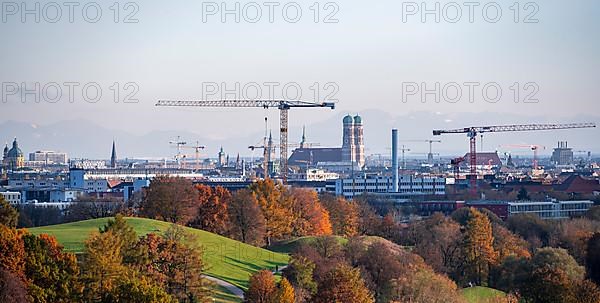 Autumn trees in the Olympic Park