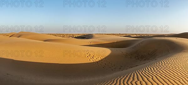 Panorama of dunes in Thar Desert. Sam Sand dunes