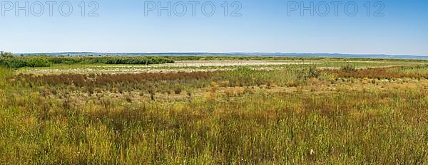 Heavily dried out horse paddock near Illmitz