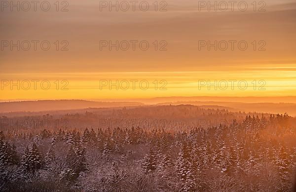 Iced winter landscape at sunrise