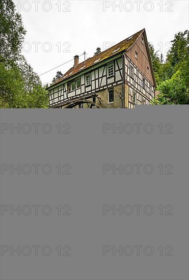 Europe's largest mill wheel surrounded by forest