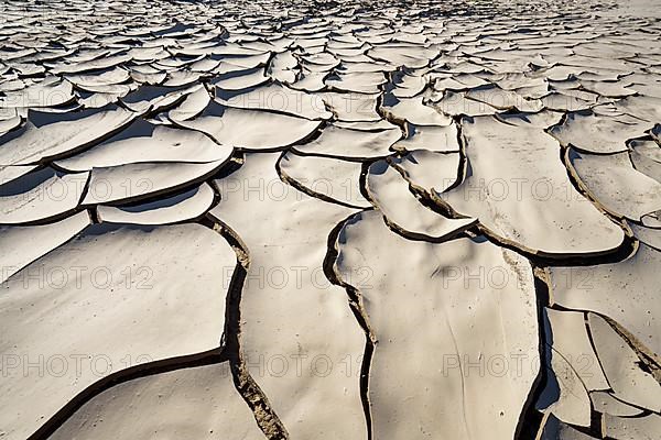 Parched ground