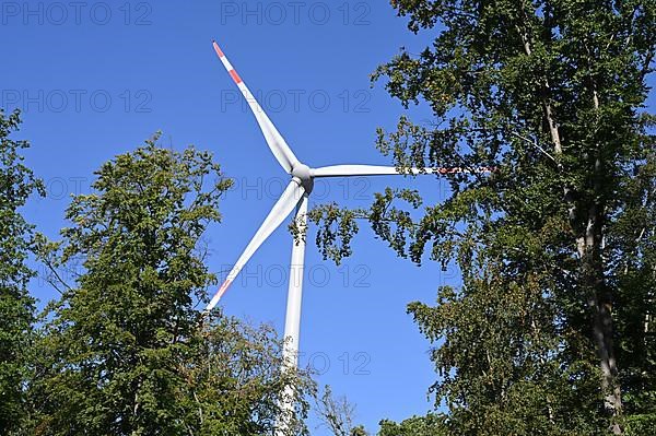 Wind turbine in the forest