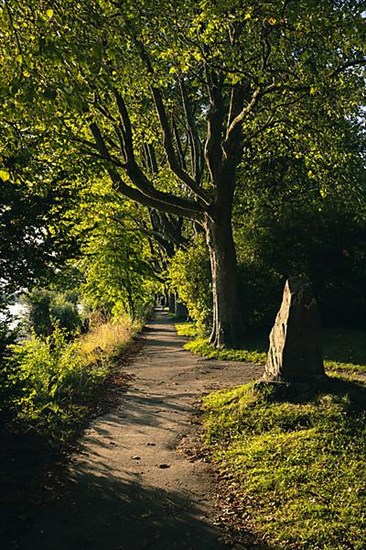 Light atmosphere in Mettnaupark