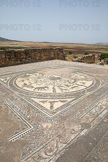 Roman mosaic