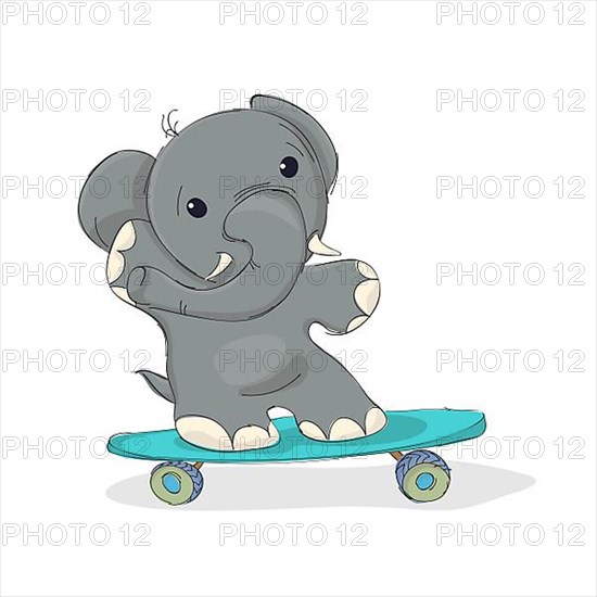 Elphant riding a skateboard
