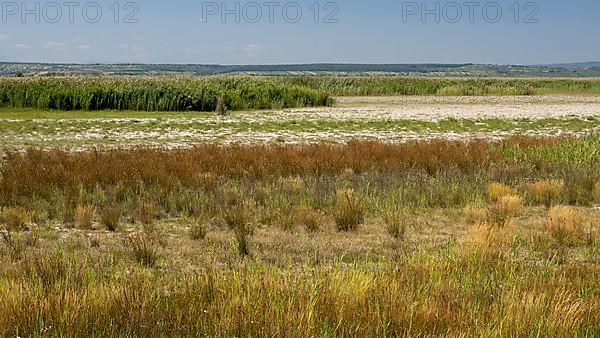 Heavily dried out horse paddock near Illmitz