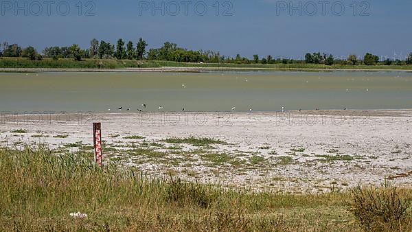 Heavily dried out Darscho or Warmsee