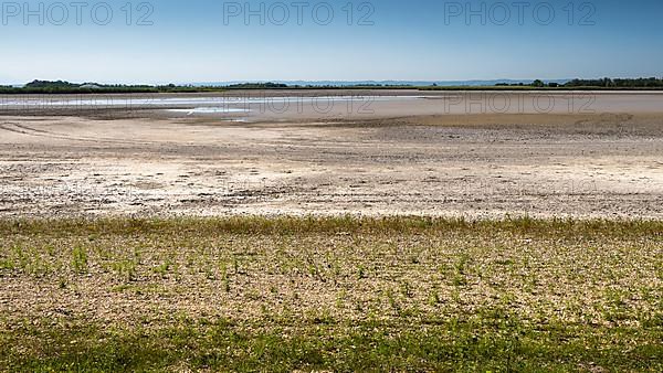 Heavily dried-up Zicksee