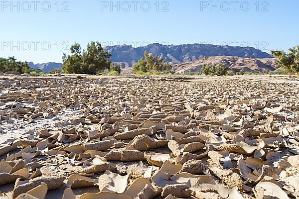 Parched ground