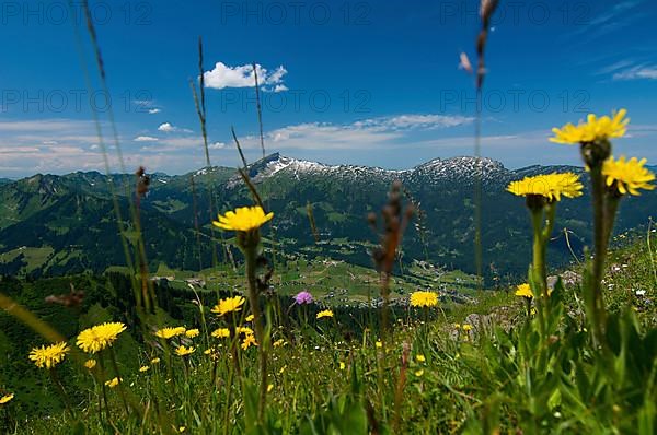 View from Kanzelwand into Kleinwalsertal