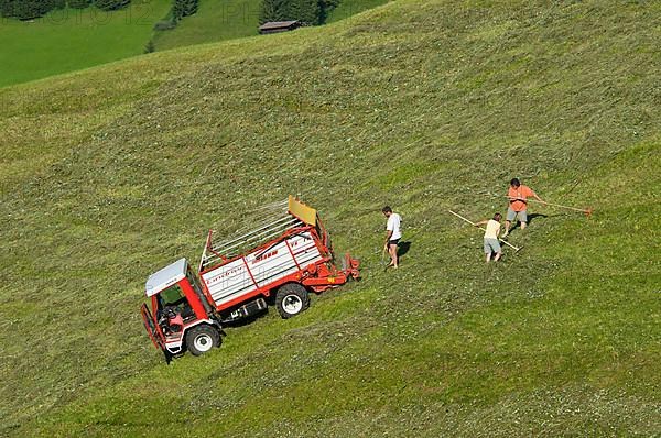 Mountain farmers harvesting hay