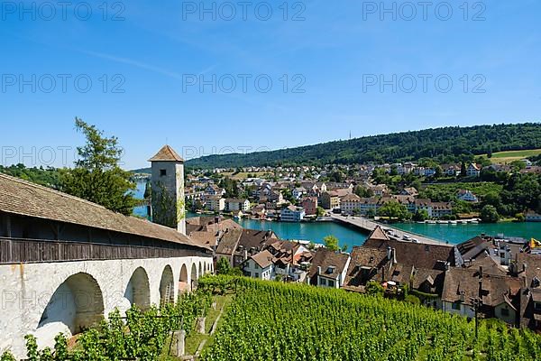 View of the Munot fortress and the town with the Rhine