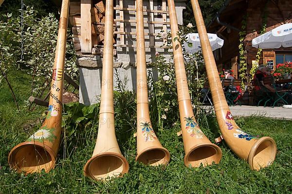 Alphorn blowers