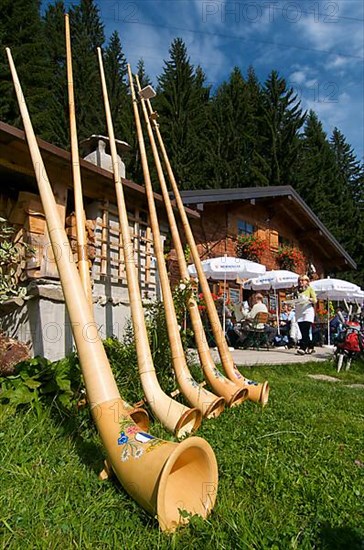 Alphorn blowers