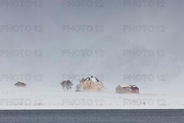 Wooden huts in the blizzard at Limstranden in the snow in winter