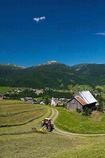 Hay harvest in Riezlern