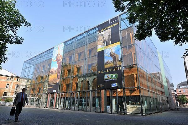 Rhineland Regional Museum of Archaeology