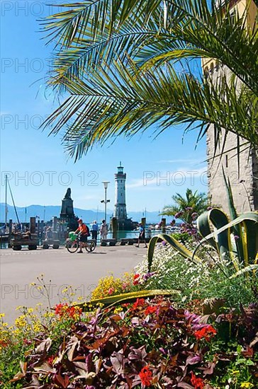 Harbor with Mangturm tower