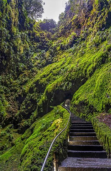 Inside the volcanic vent Algar do carvao Azores Terceira Portugal