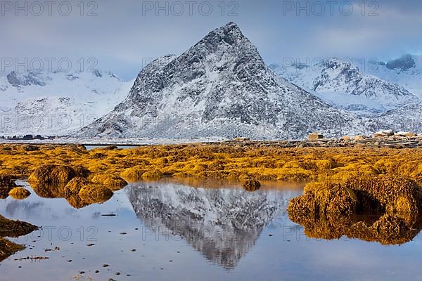 Reflection of the mountain in the water of the fjord at Malnesvik in the snow in winter