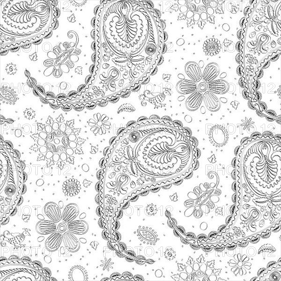 Vector paisley