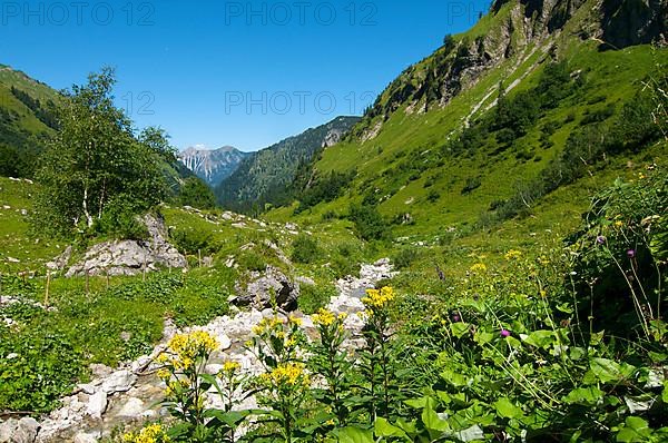 Path to the Prinz-Luitpold-Haus