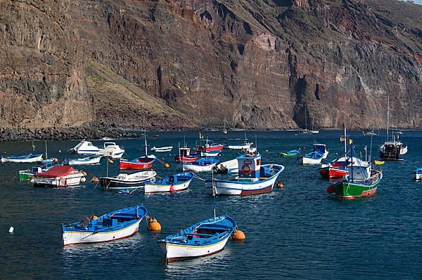 Fishing boats in the port