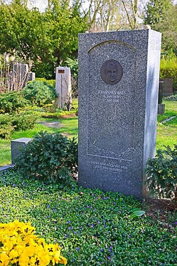 Honorary grave of politician