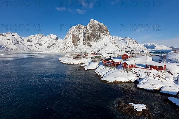 Rorbuer huts and wooden racks with stockfish to dry by Hamnoy fjord in the snow in winter