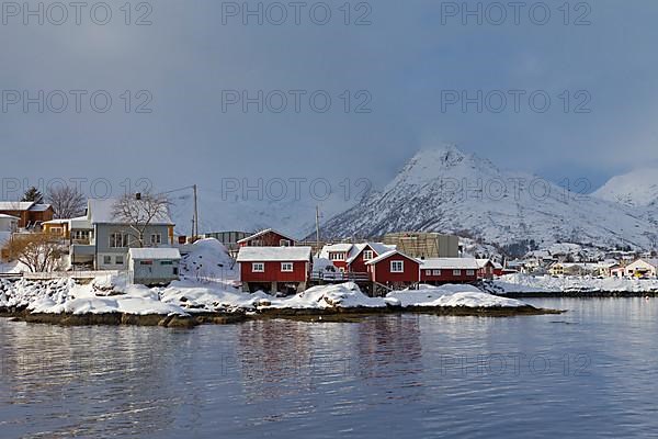 Robur holiday homes near Svolvaer