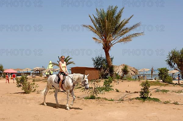 Young woman riding a horse