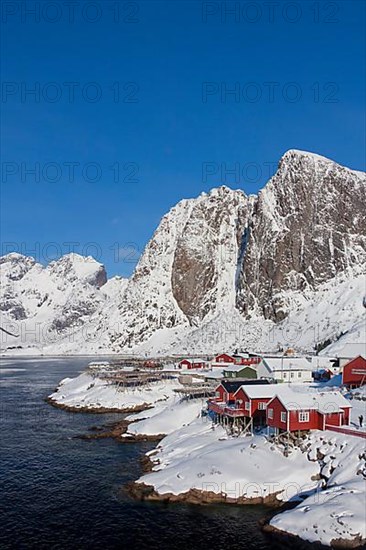 Rorbuer huts and wooden racks with stockfish to dry by Hamnoy fjord in the snow in winter